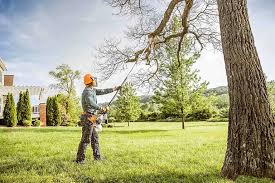 Best Leaf Removal  in Crystal Lakes, OH